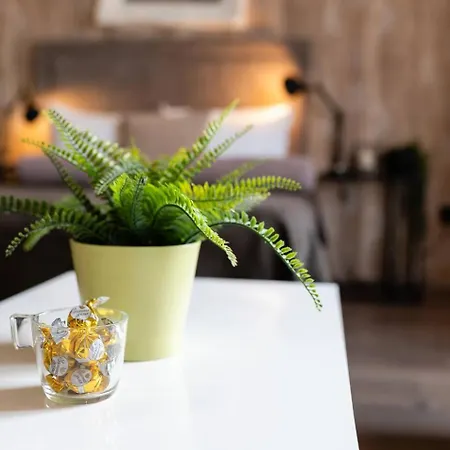 Central Belgrade Apartments