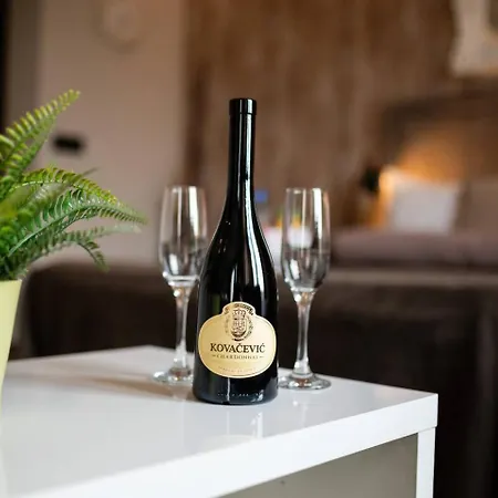 Central Belgrade Apartments Apartman *