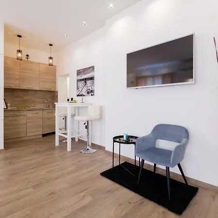 Central Belgrade Apartments 贝尔格莱德