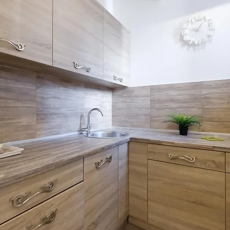 公寓 Central Belgrade Apartments *